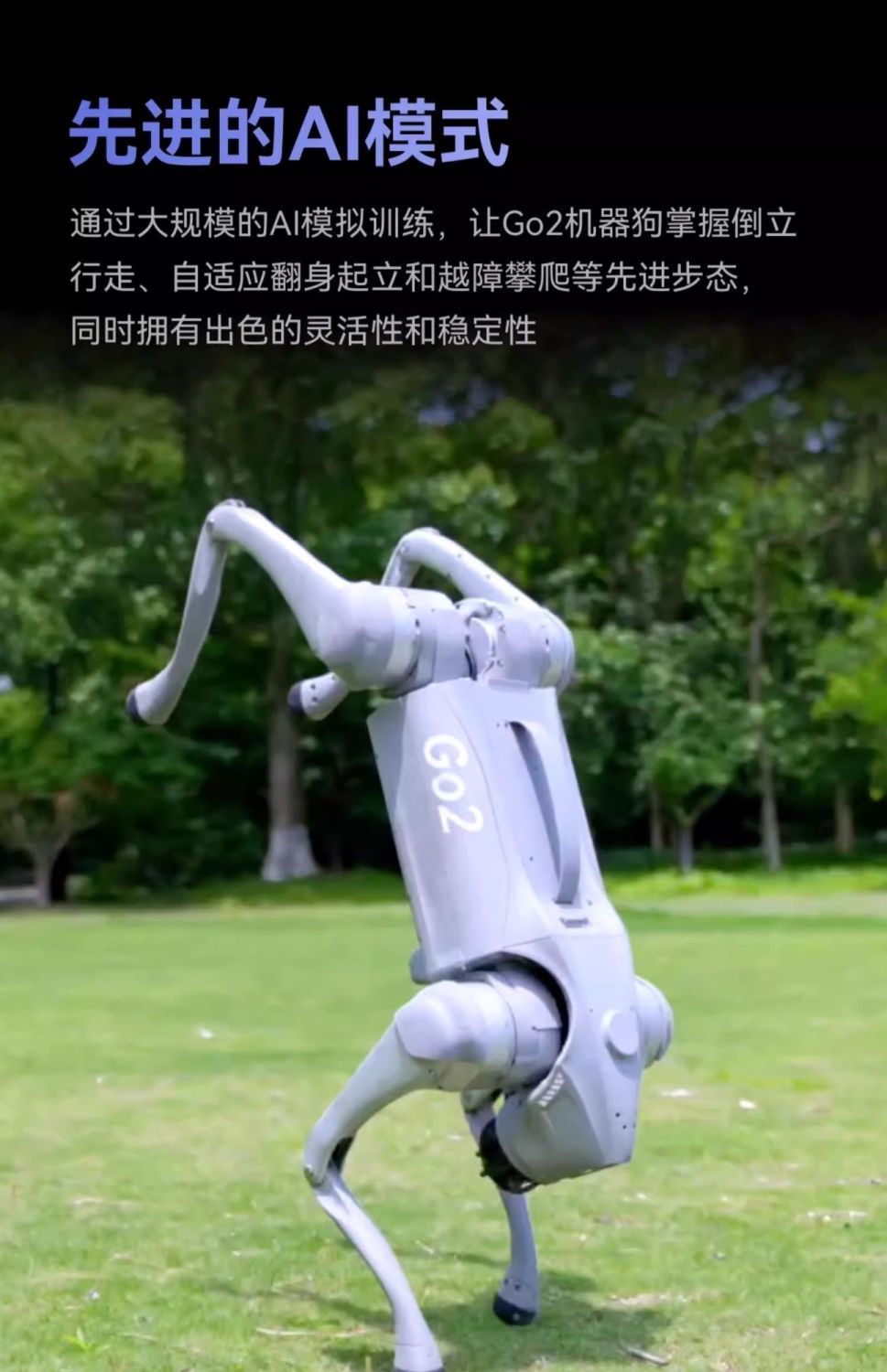四足机器人Go2 高清图片2