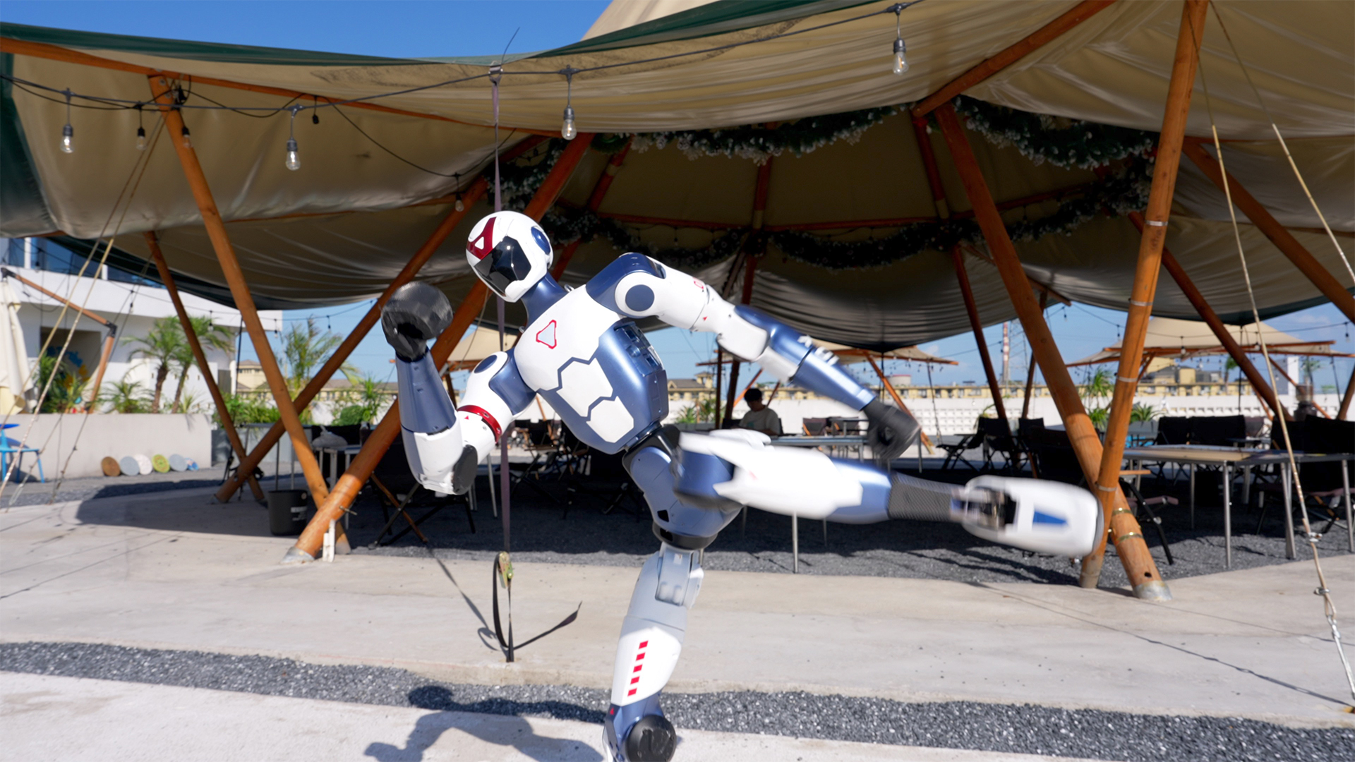 人形机器人R1 图片3