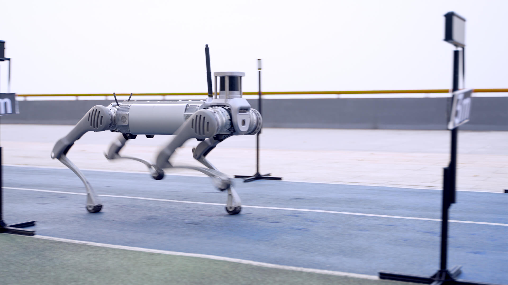 四足机器人B2 图片5