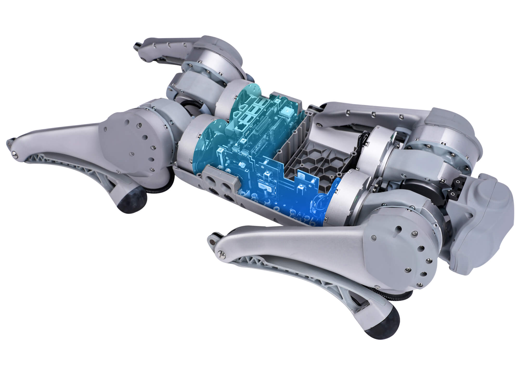 四足机器人Go1 高清图片11