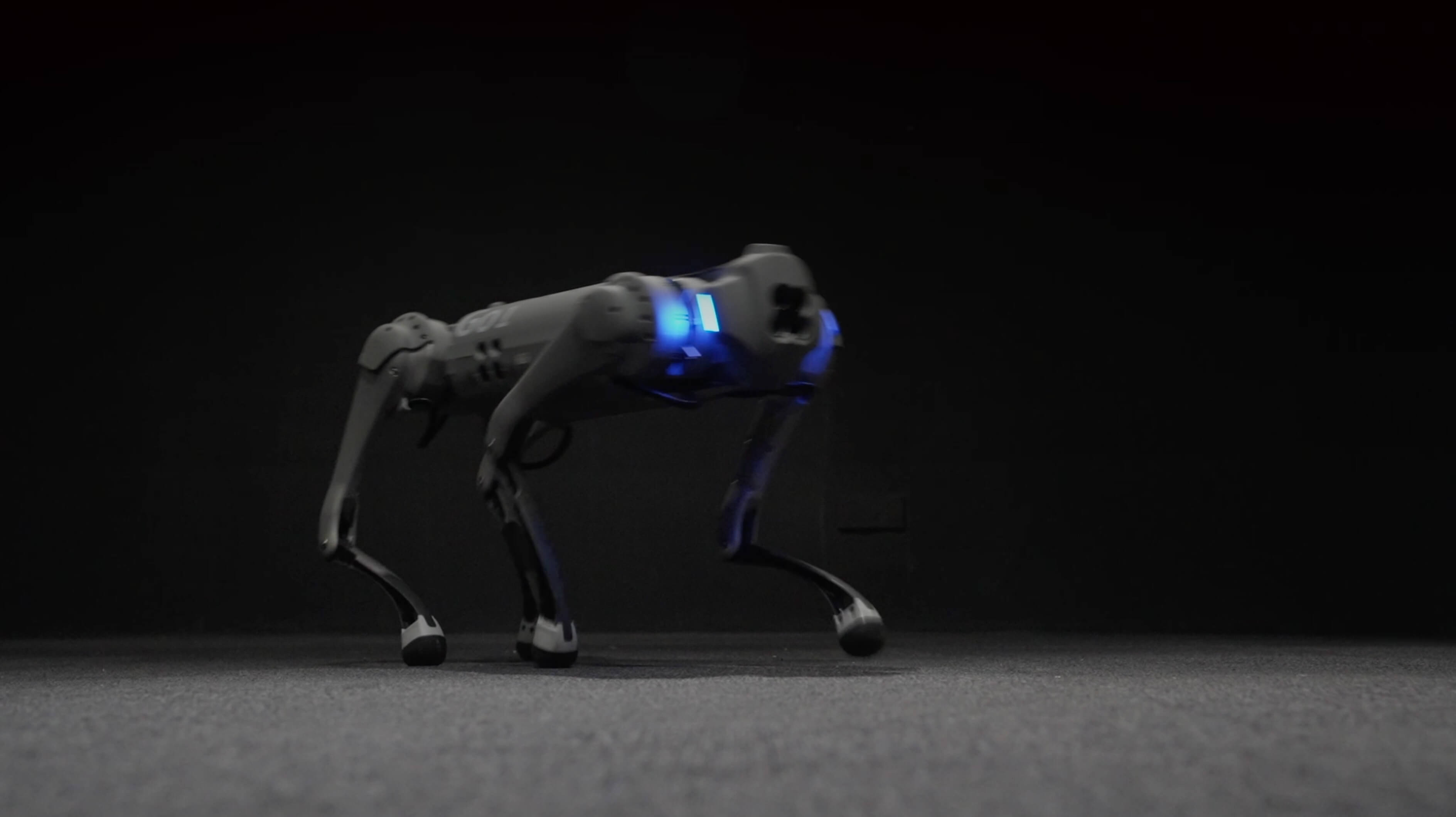 四足机器人Go1 高清图片1