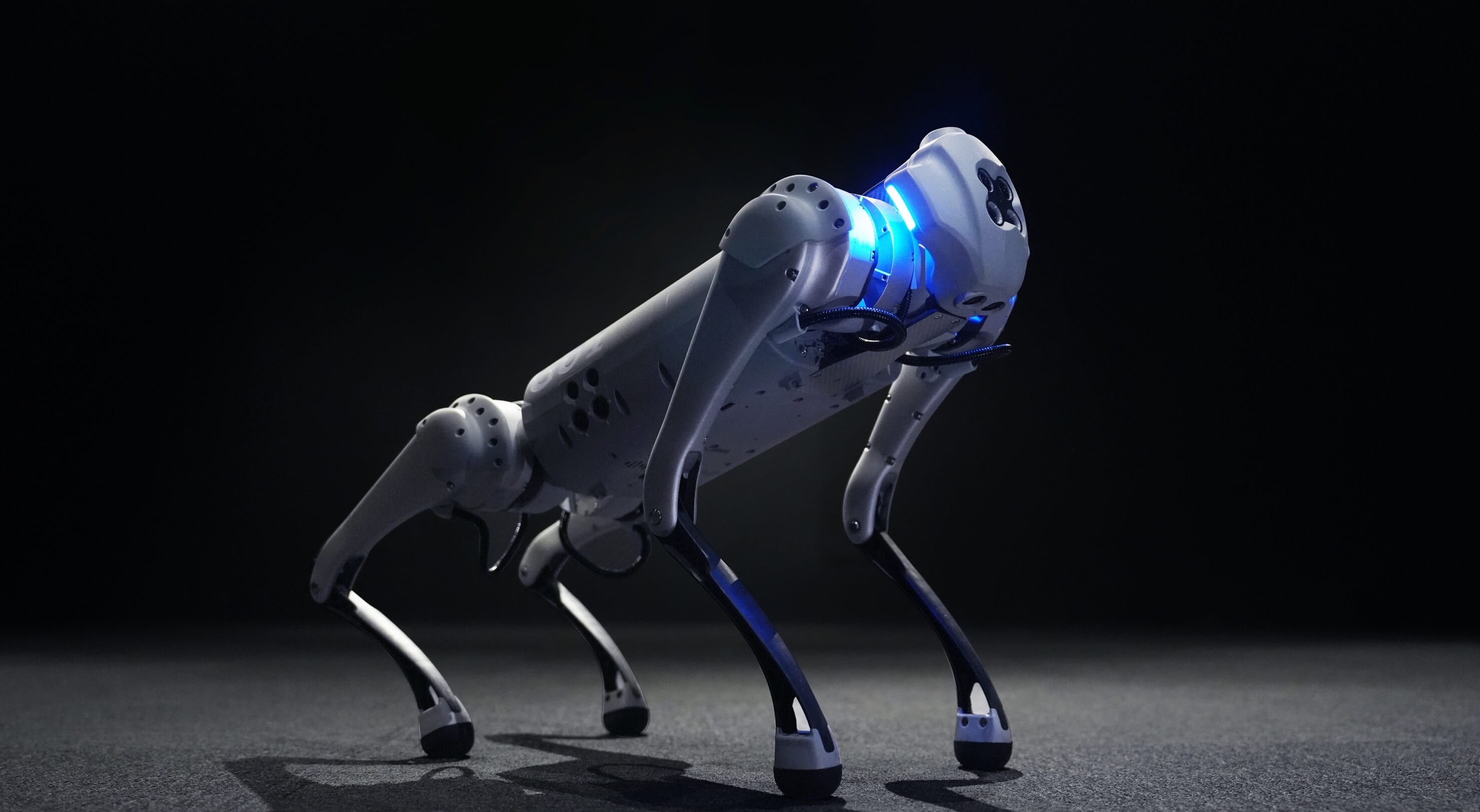 四足机器人Go1 图片3