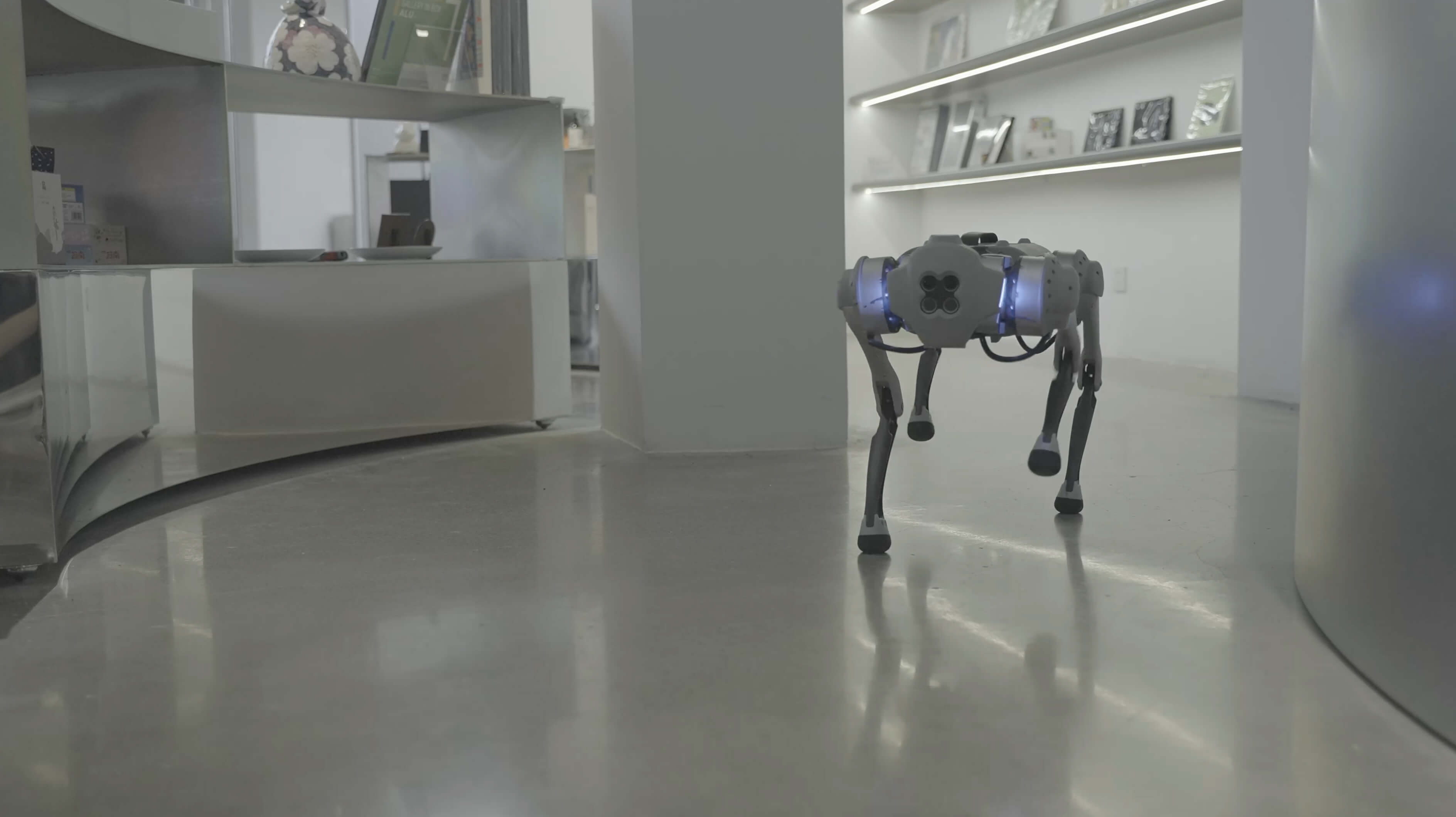 四足机器人Go1 高清图片6