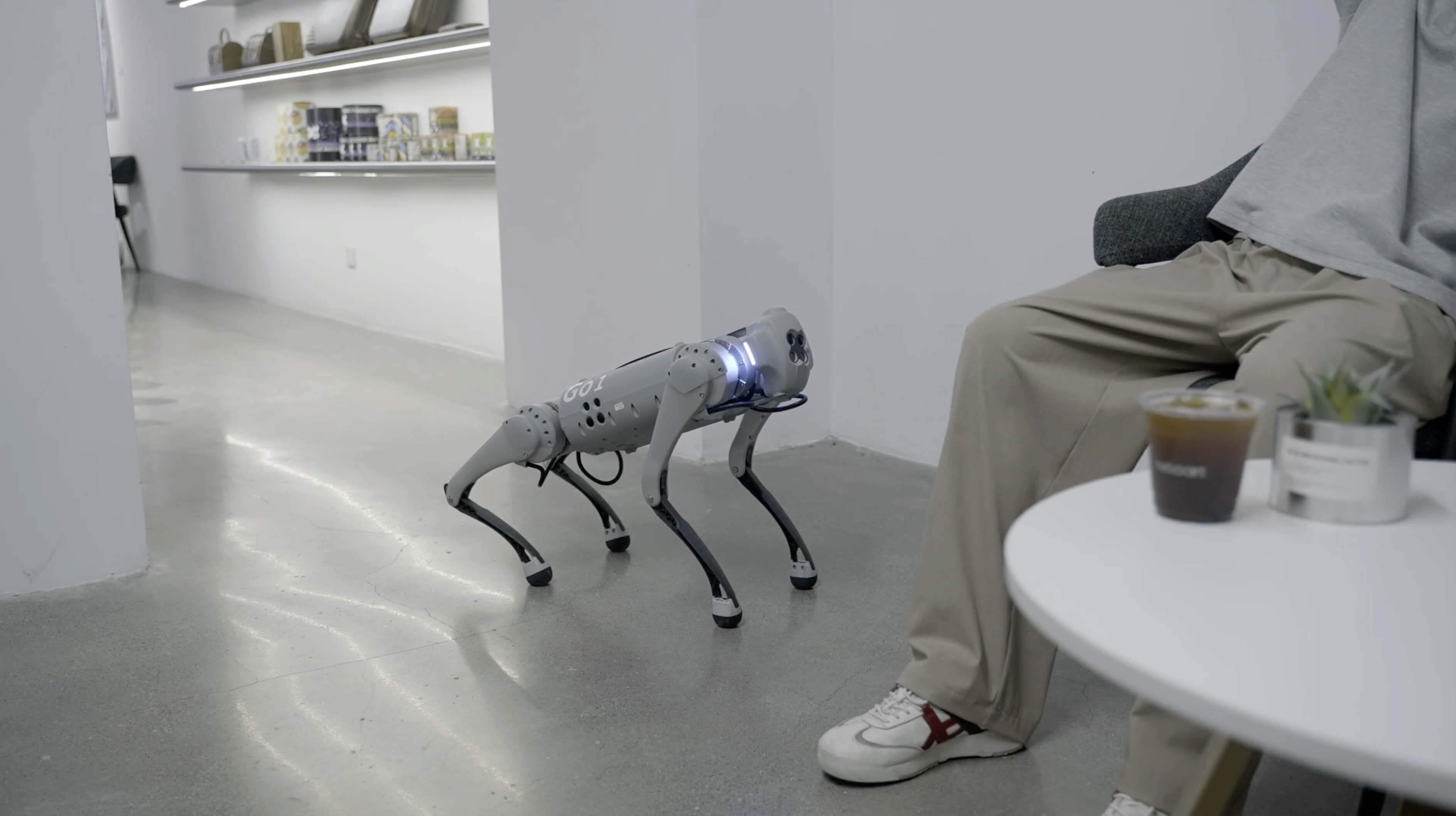 四足机器人Go1 高清图片5